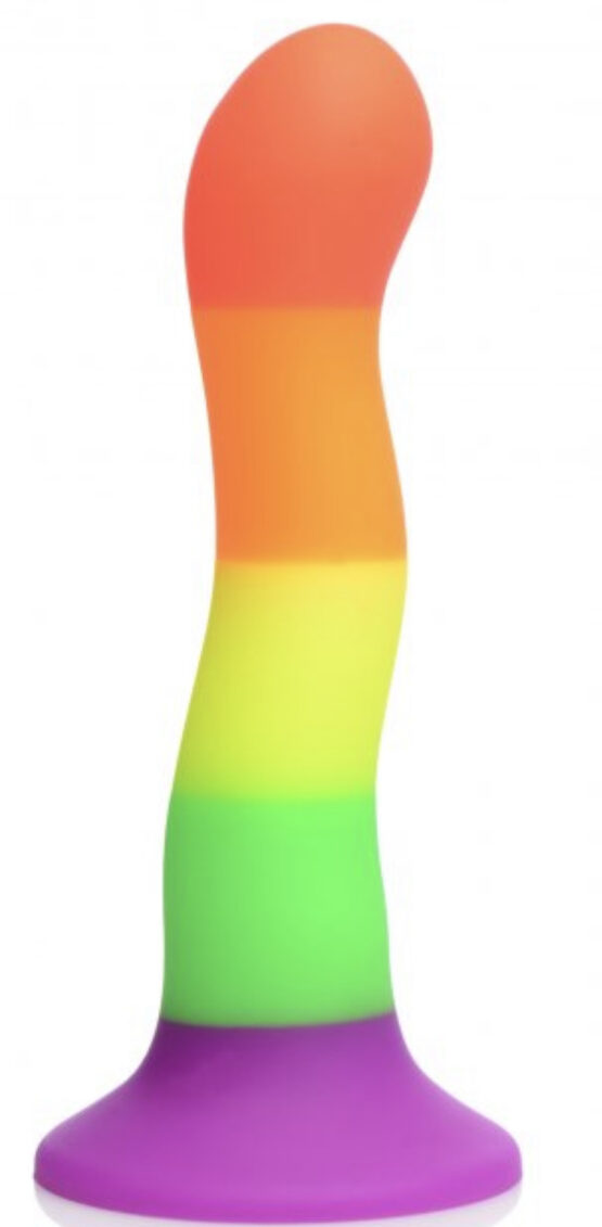 Proud Rainbow Silicone Dildo with Harness - Image 4